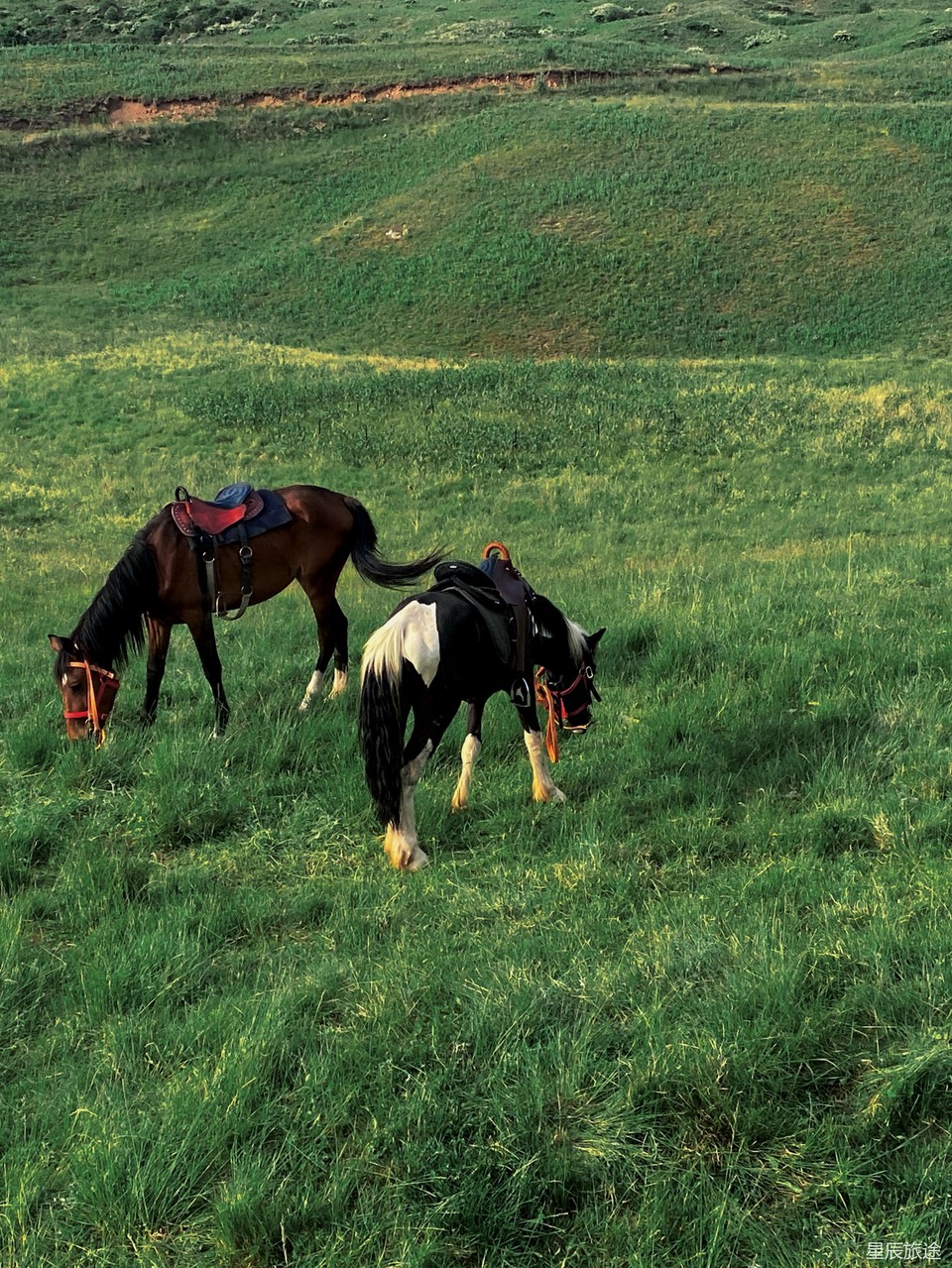 mmexport1718071625820