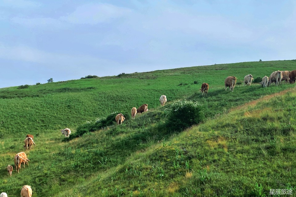 mmexport1718071628997