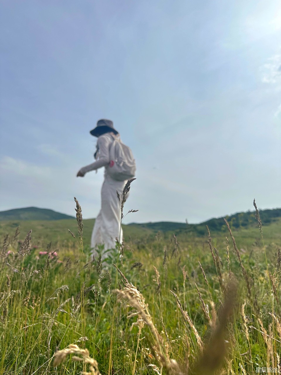 mmexport1718071921181