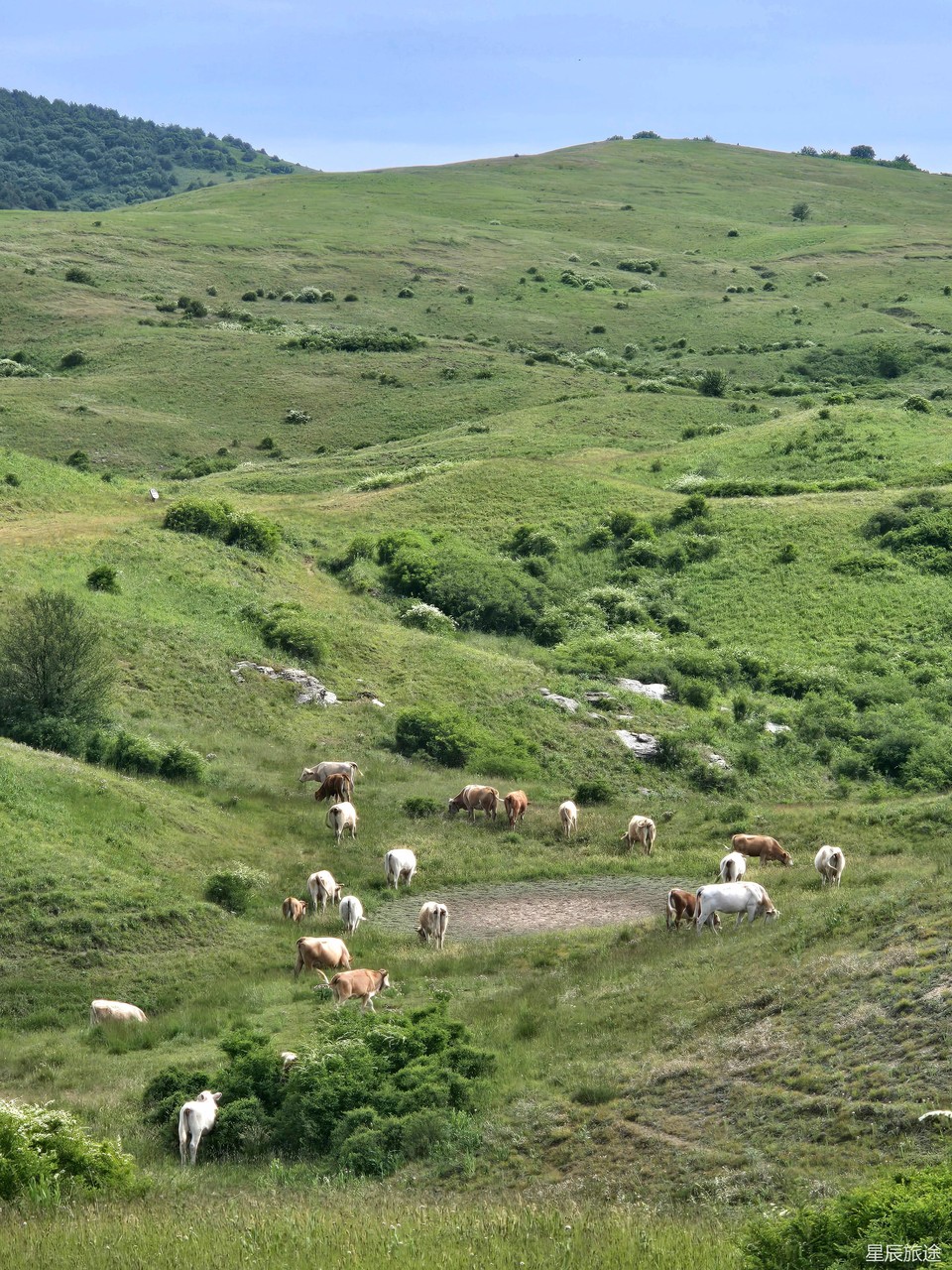 mmexport1718072069828