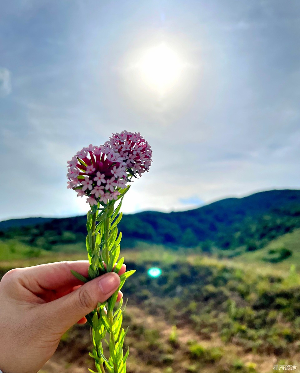 mmexport1718072180668