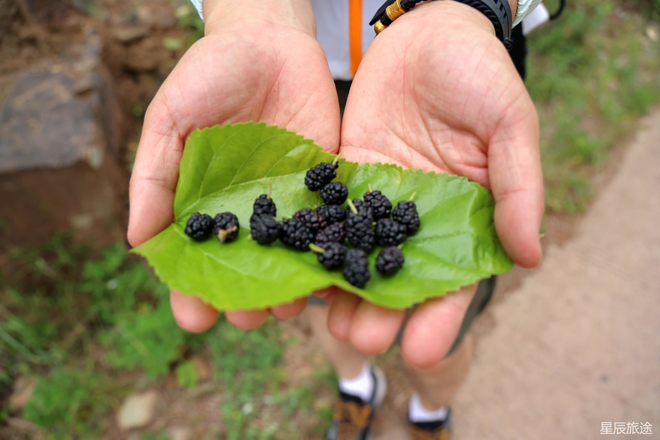 mmexporta0f075682e124398093a0cdd57ff3497_1718073796636