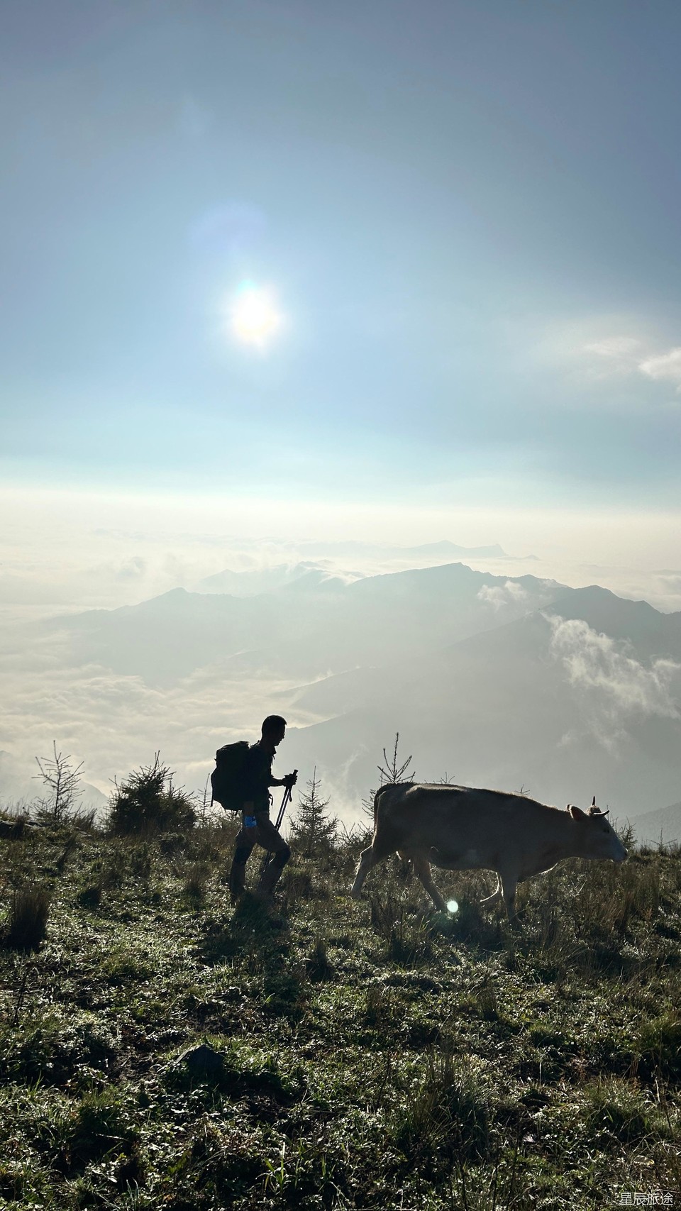 mmexport1726557207065