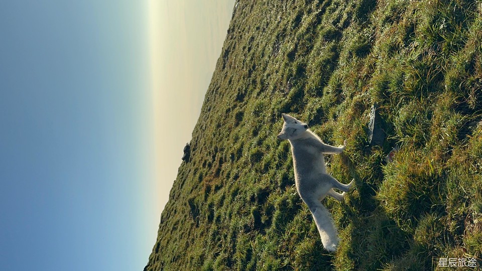 mmexport1726575605114