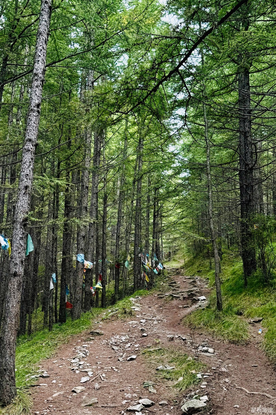 mmexport1726710023829