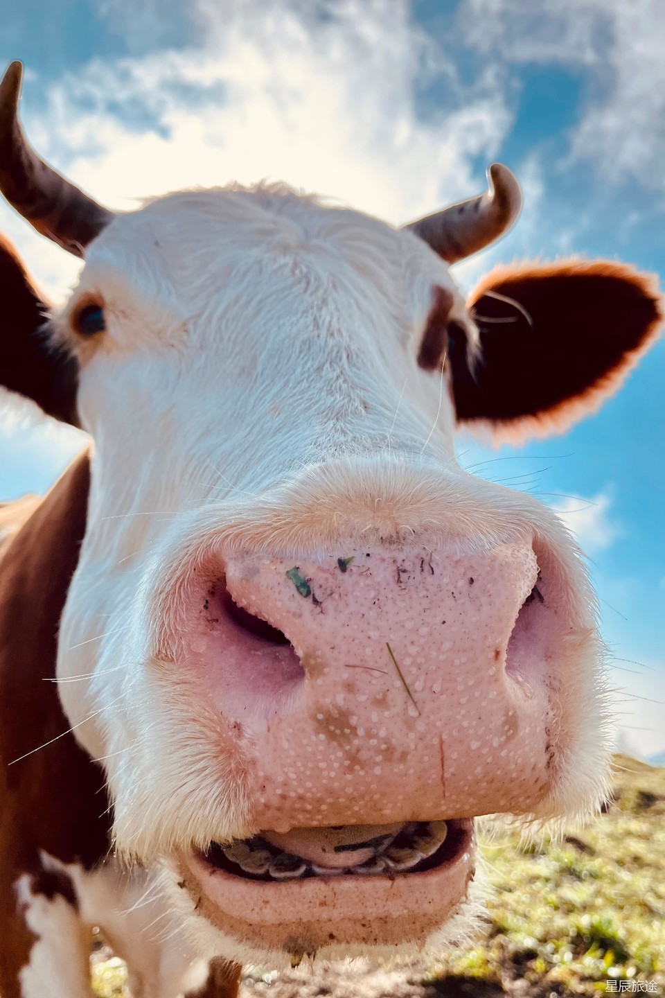 mmexport1726710037017