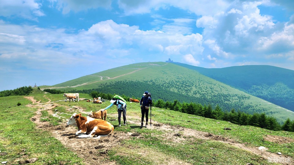 微信图片_20240625113355