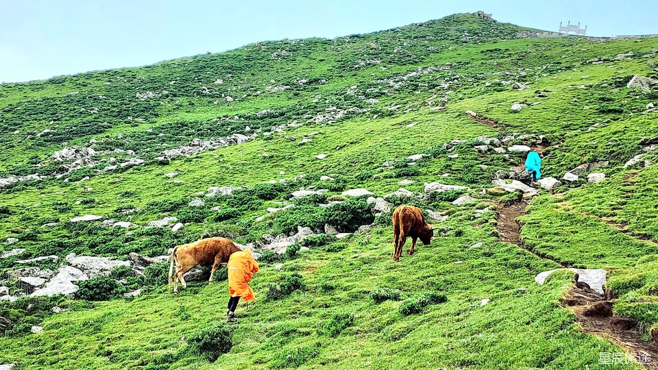 微信图片_20240625113357