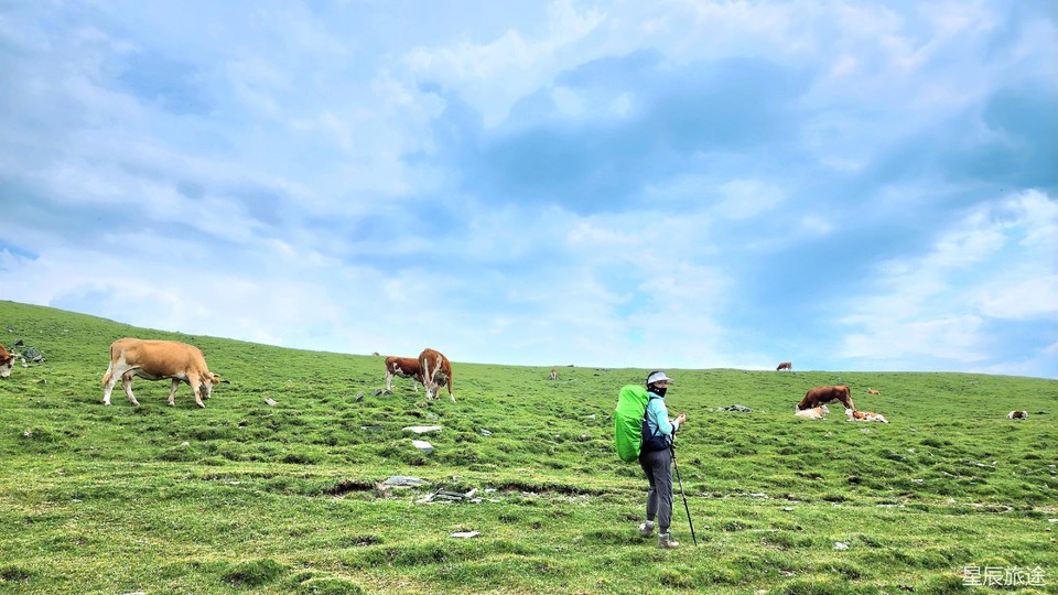 微信图片_20240625113428