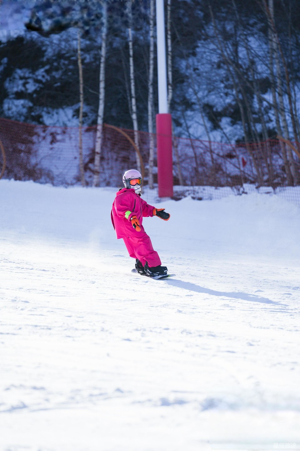 微信图片_20241228113538