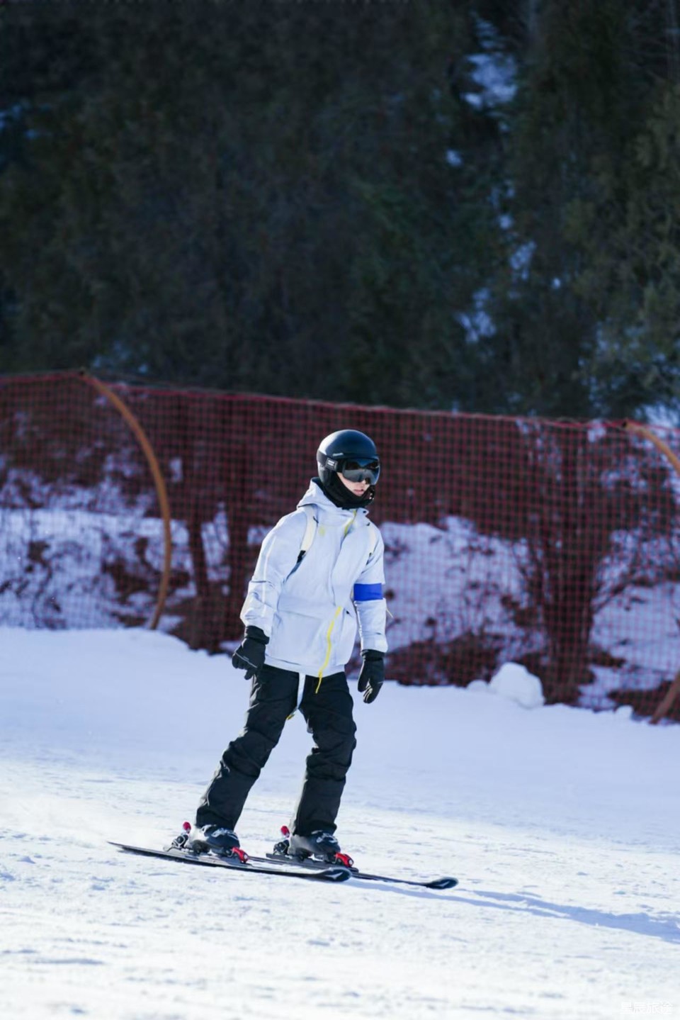 微信图片_20241228113544