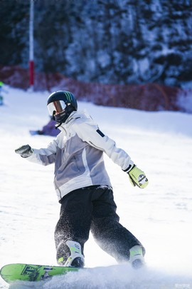 微信图片_202412281135461