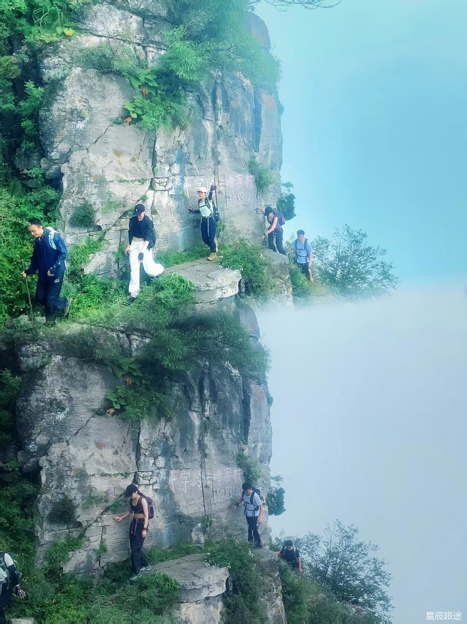 微信图片_20250610150022