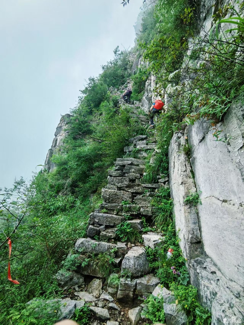 微信图片_20250610150056