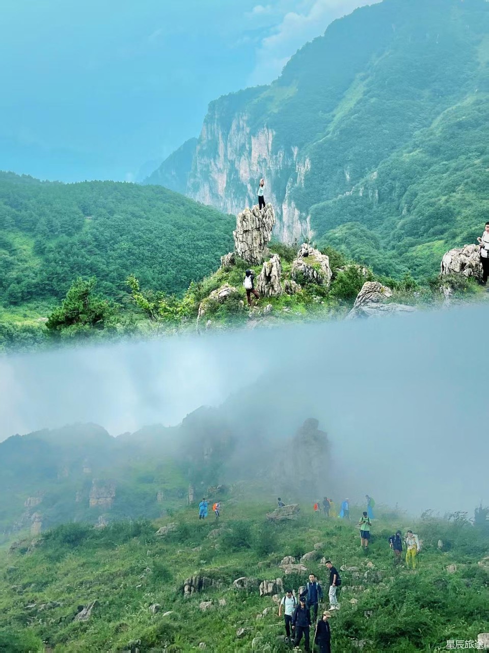 微信图片_20250610150057