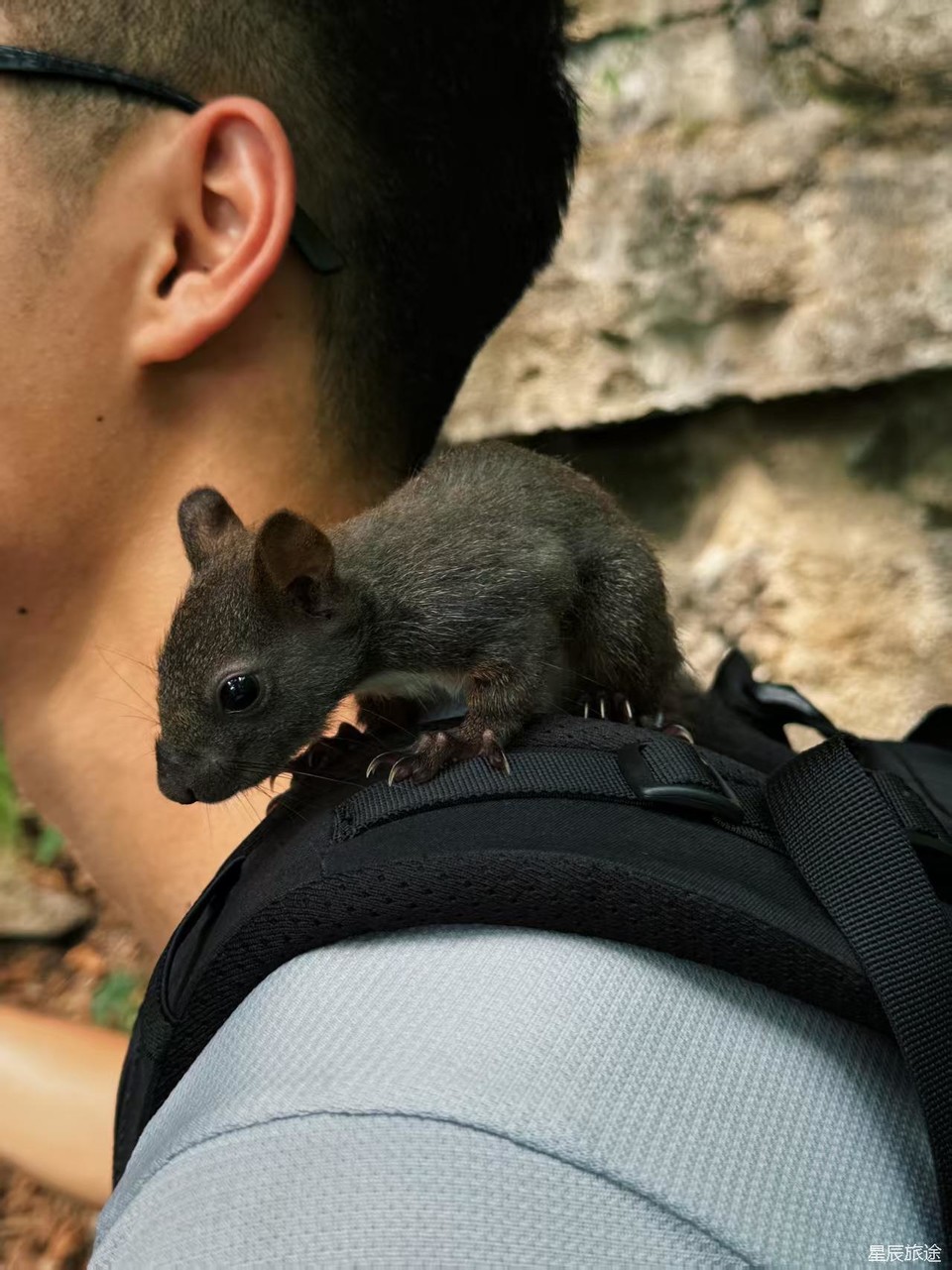 微信图片_202506101500533