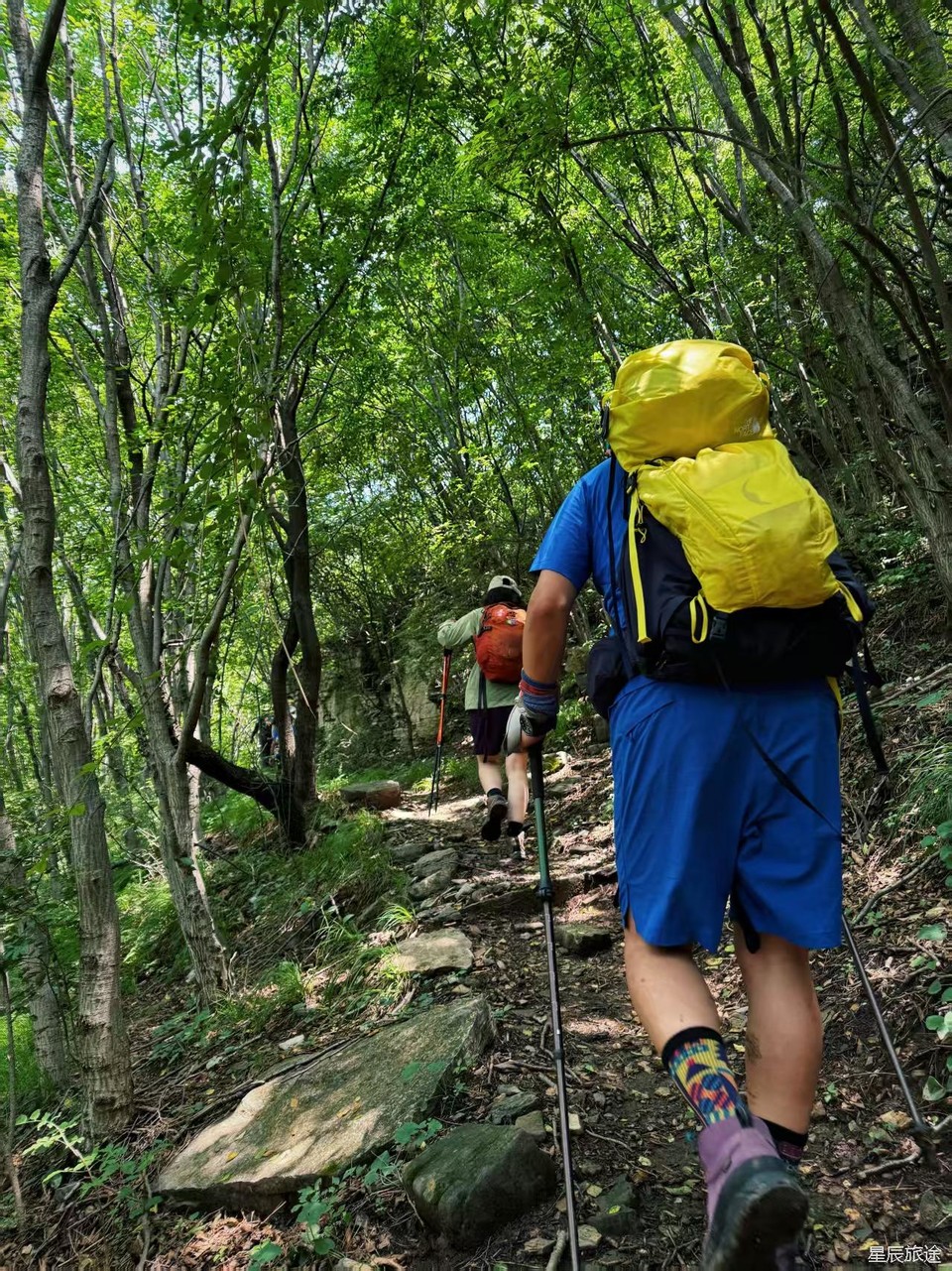 微信图片_202506101500543