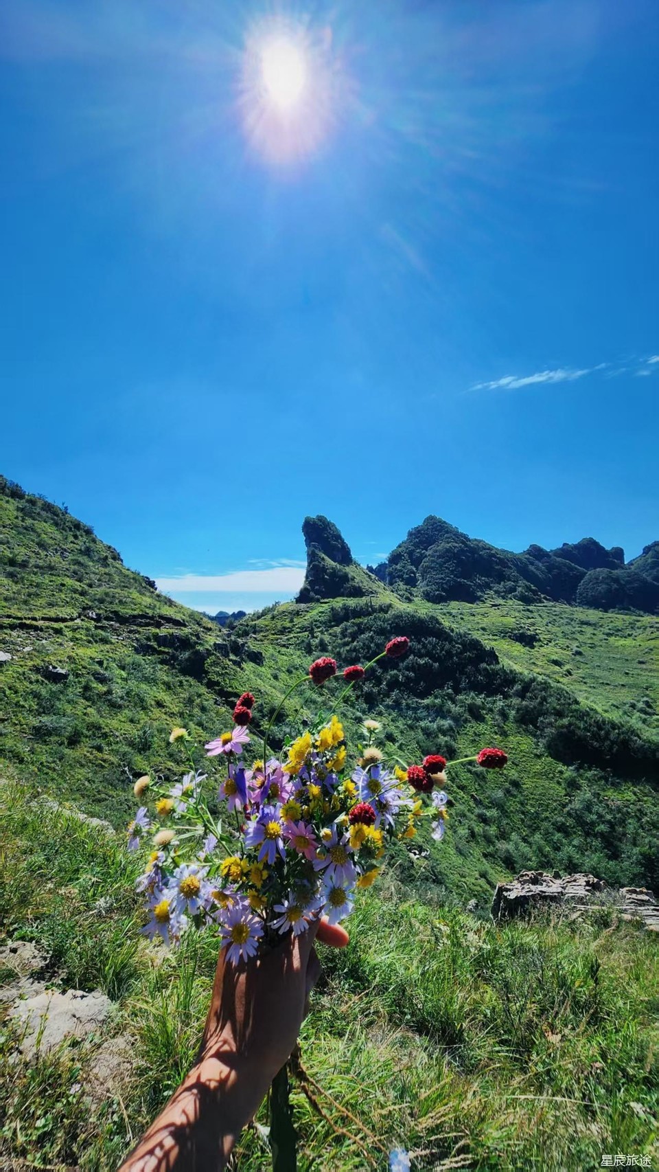 微信图片_202506101500551