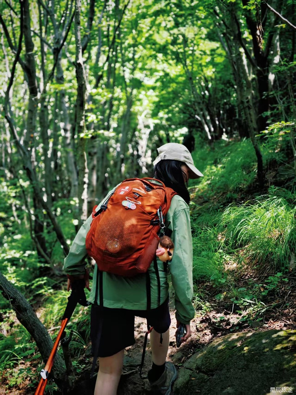 微信图片_202506101500552