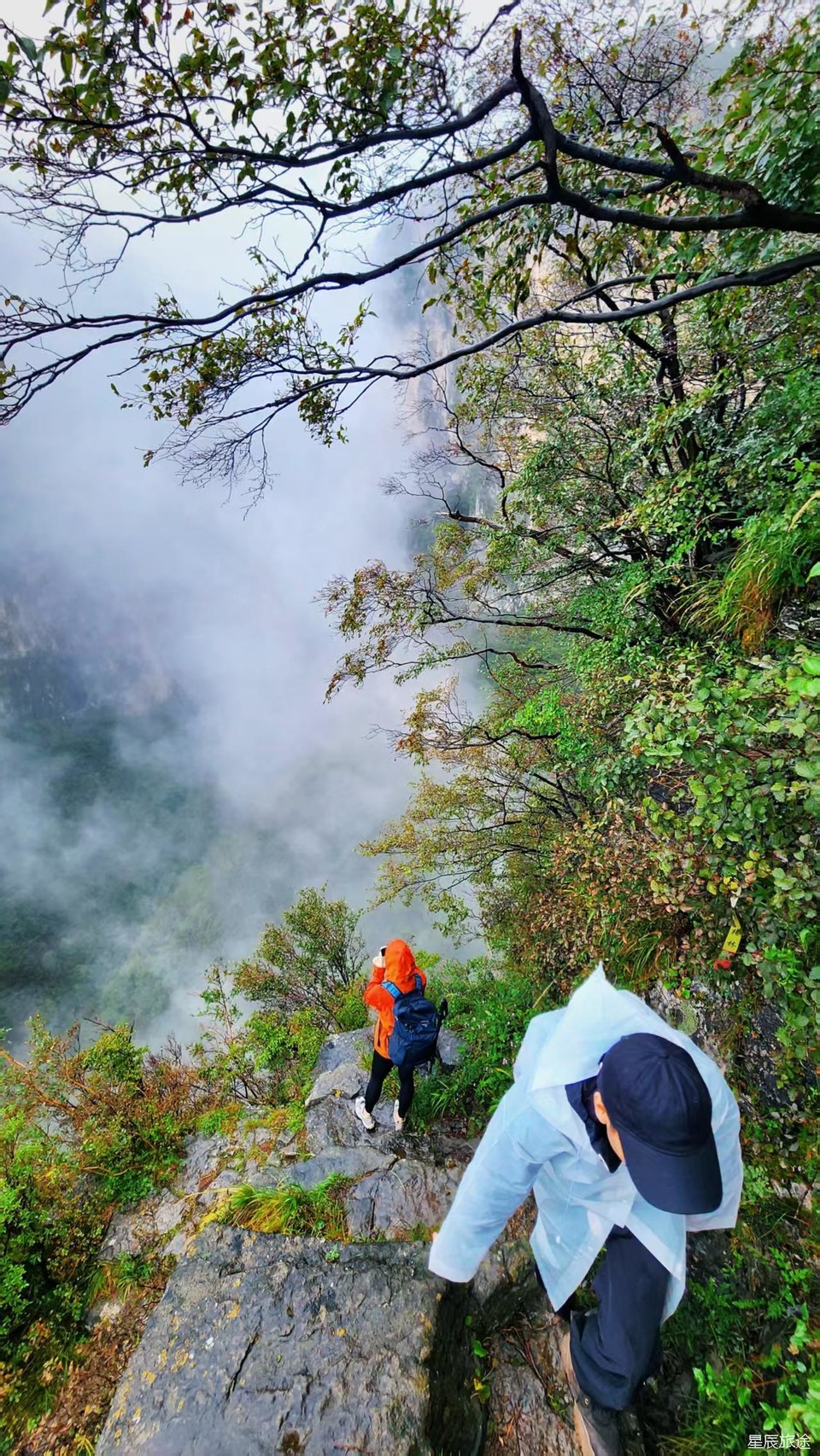 微信图片_202506101500553