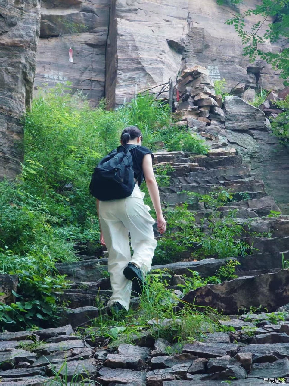 微信图片_202506101500563