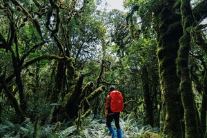 五一假期 ▏5.1~5.4 侏罗纪丛林 ▏世界物种基因库“高黎贡山”. 毛毛球原始森林穿越.