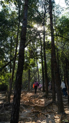 _DSC0025