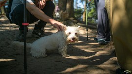 _DSC0228