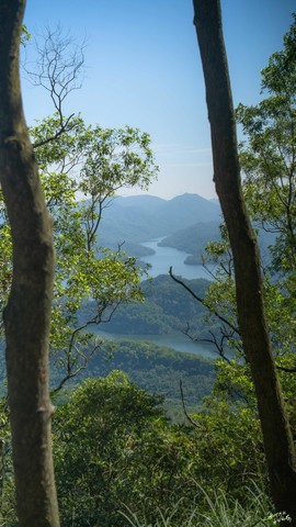 _DSC0251