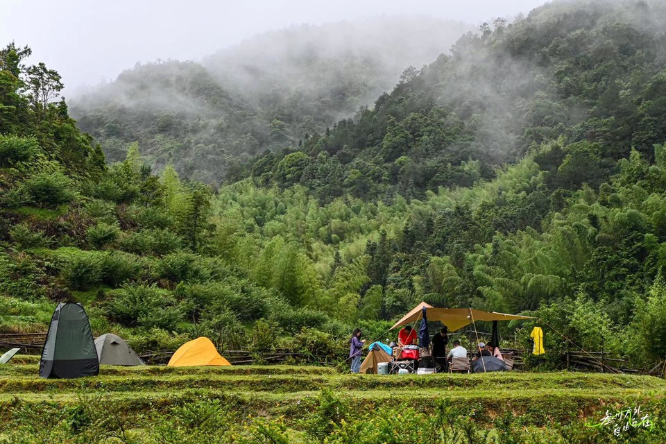 mmexport1717513007167