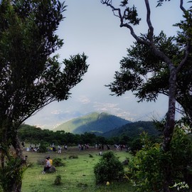 IMG20231003075225-01