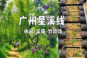 【从化星溪线一日游】竹林漫步、吃竹筒饭、喝豆花、溯溪玩水、摘李子 