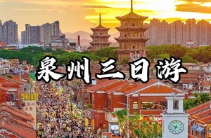 1.1-1.3号初溪土楼 蟳浦簪花 洛伽寺 梧林古村落小娘惹 泉州古城 西街 开元寺 少林寺三天