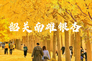 成团！12.17-12.18广东小九寨南雄帽子峰银杏世界摄影拍照+南华寺+泡十佳优质温矿泉曹溪温泉