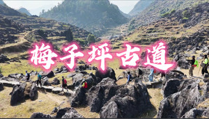 【绝美新线•梅子坪古道】12月21日 徒步阳山梅子坪古道，打卡广东最大阳石林，漫步千年古道画卷 一天！ 