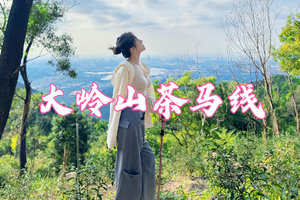 大岭山【茶马线】茶园竹林穿越，东莞经典徒步路线--自驾/活动群拼车