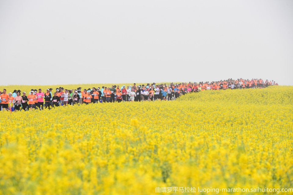 0cf4c05b2a6fb874ac5f21c6b198c55