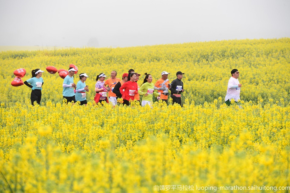 eb5e3f176c61f62ed4f3747b0bc878d