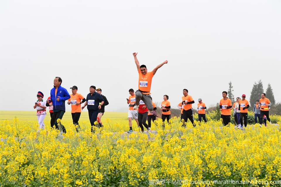 f4a714e8a1b9ab2a83aa6cf956f676c