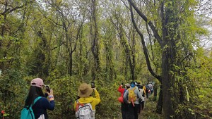 5月2号绿野仙踪-纯野路线