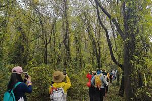 5月4号千年花山古道琅琊山