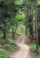 5月1号（绿野仙踪）