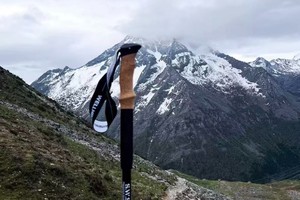 成人登山杖