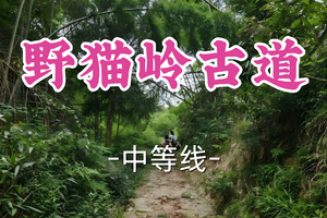 转发半价！即将成团！周一4.6南瓜领队【宜山+松江上车-野猫岭古道13公里】|探秘小雁荡，寻迹古驿茶香