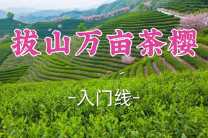 转发半价！成团！周日4.5田田领队【宜山+松江上车-拔山万亩茶樱】| 杭州“无量山”，江南茶山春行图！