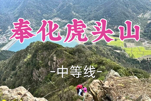 转发半价！即将成团！周一4.6吴情领队【世纪上车-奉化虎头山 】|挑战绳索攀爬，邂逅油菜花海【恐高者勿报】