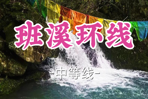 转发半价！成团！周日4.5知了领队【宜山+松江上车-班溪环线14公里】|奉化班溪环线，行走治愈系森林秘境