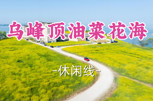 转发半价！成团！周日4.5瓦力领队【世纪上车-乌峰顶油菜花海】|打卡太湖边莫奈花园乌峰顶油菜花海&包山禅寺！