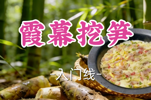 转发半价！成团！周日4.5呆呆领队【宜山+松江上车-霞幕挖笋】| 霞幕山登高望远，一起去挖笋，品尝野火土灶饭