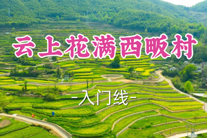 转发半价！即将成团！周一4.6谦和领队【龙阳路+莘庄上车-云上花满西畈村10公里】|邂逅云边小卖部与七彩春日花海